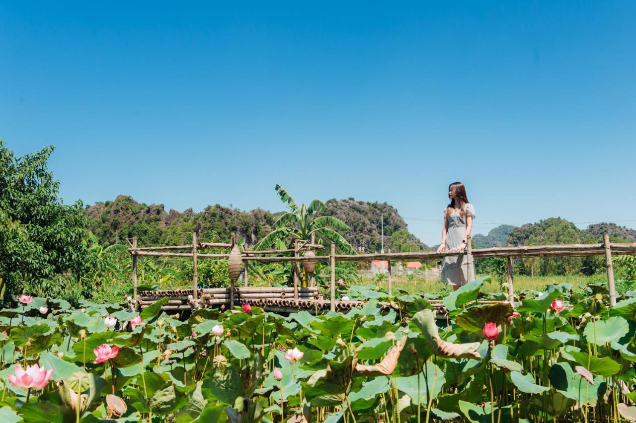 Nan House - Tam Coc Hotell Ninh Binh Eksteriør bilde