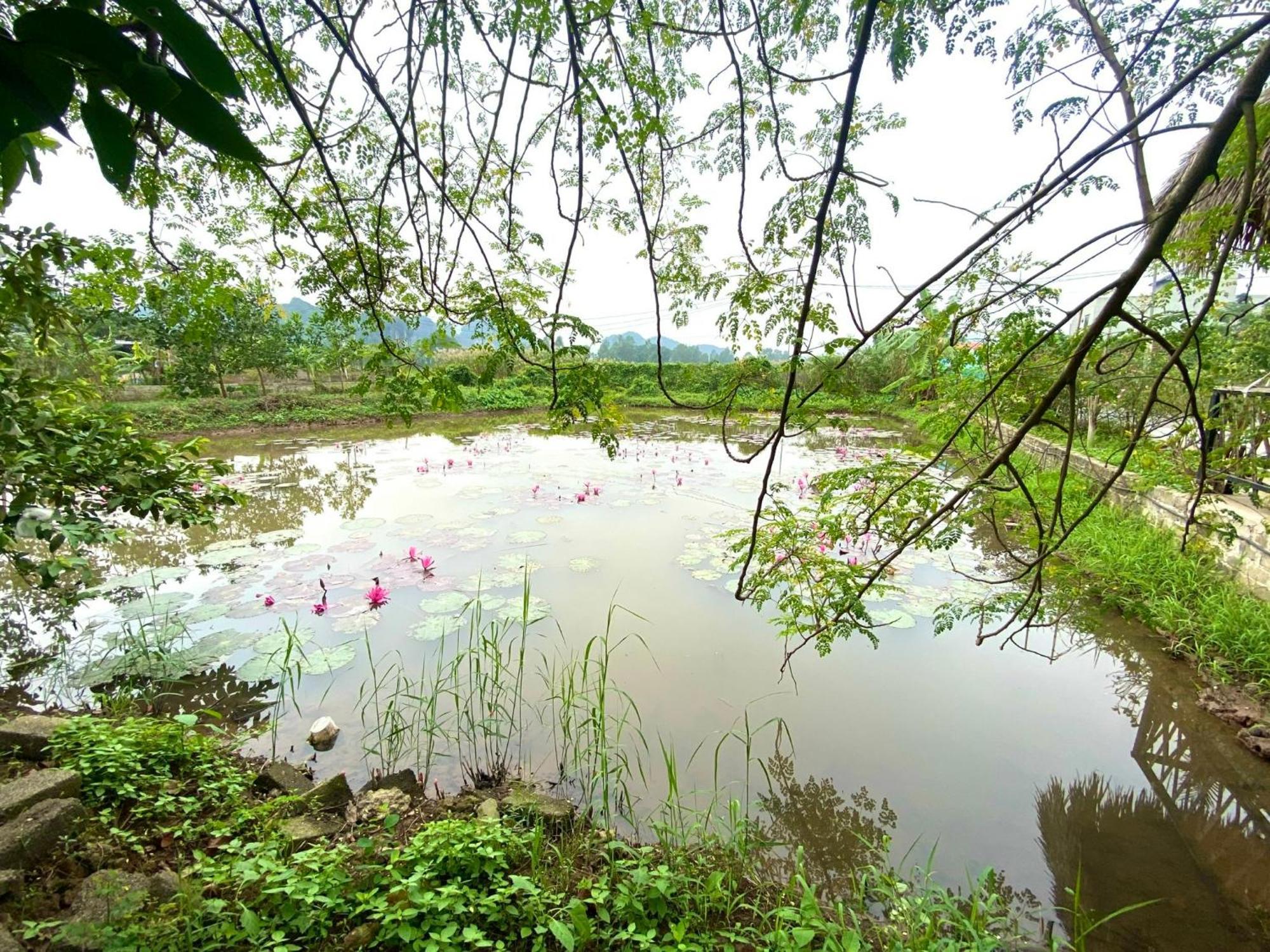 Nan House - Tam Coc Hotell Ninh Binh Eksteriør bilde